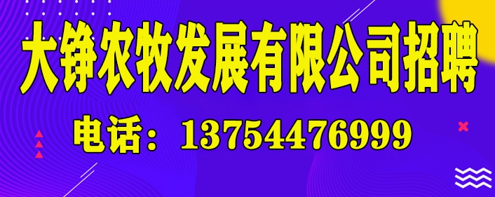 大铮.jpg