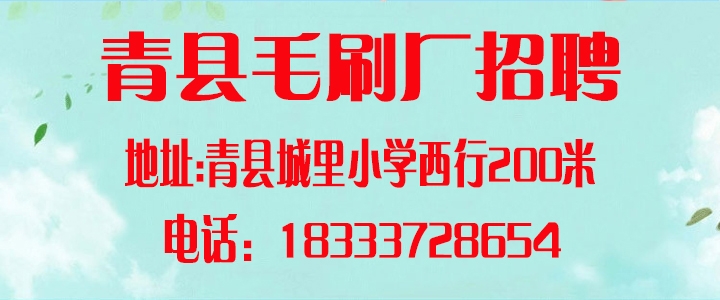 青县毛刷.jpg