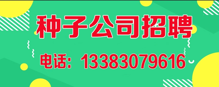 种子公司.jpg