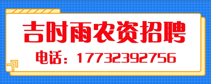 吉时雨.jpg