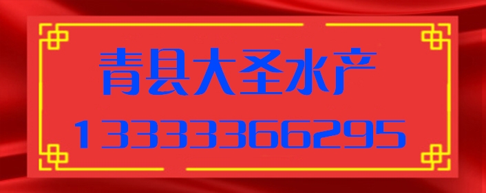 66cf916418fcfcba6e3b29386b2e3bb.jpg