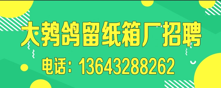 1758697816246373.jpg 大鹁鸽留纸箱厂.jpg