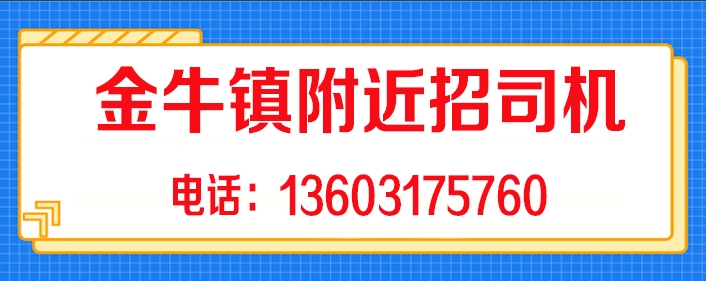 金牛招司机.jpg