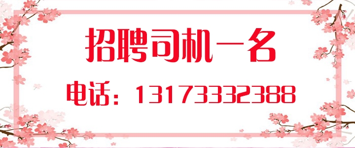 司机.jpg