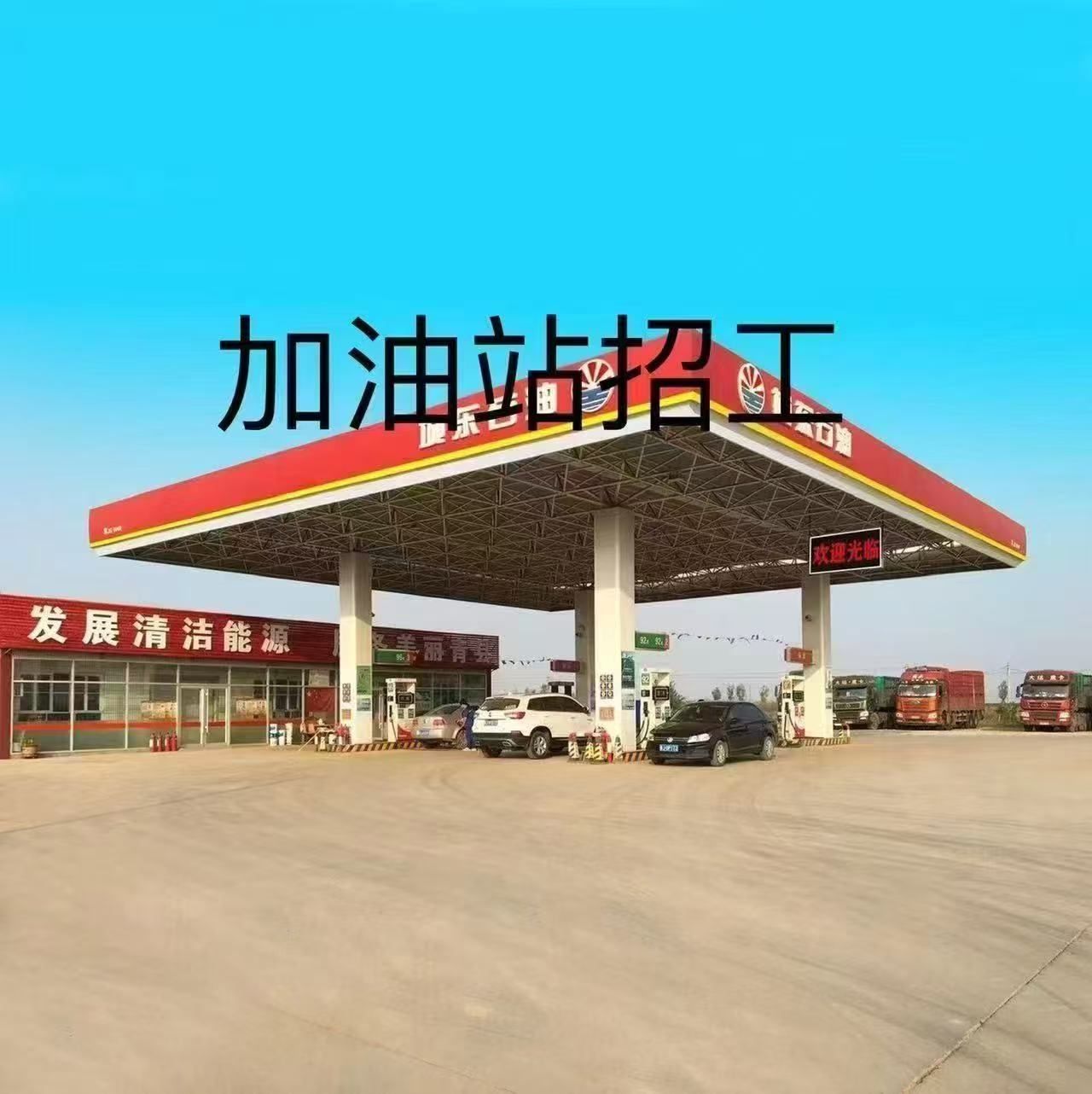 1785556007143274.jpg 1785921960C_92.jpg